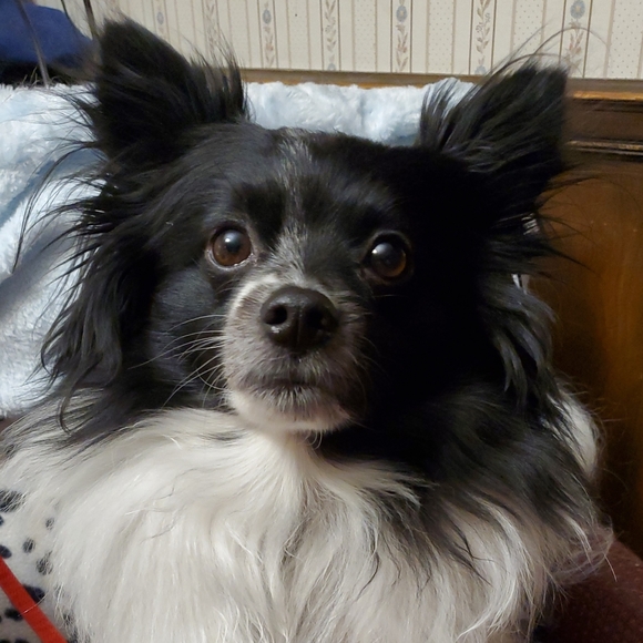 Hi. I'm  Marianne - Picture 2 of 2